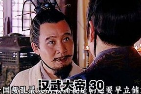 汉景帝电视剧,权谋与仁爱的宫廷传奇