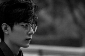 娱乐圈爆料吃瓜肖战事件,娱乐圈爆料背后的真相与反思